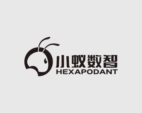 小蟻數(shù)智打造全新自適應官網(wǎng)